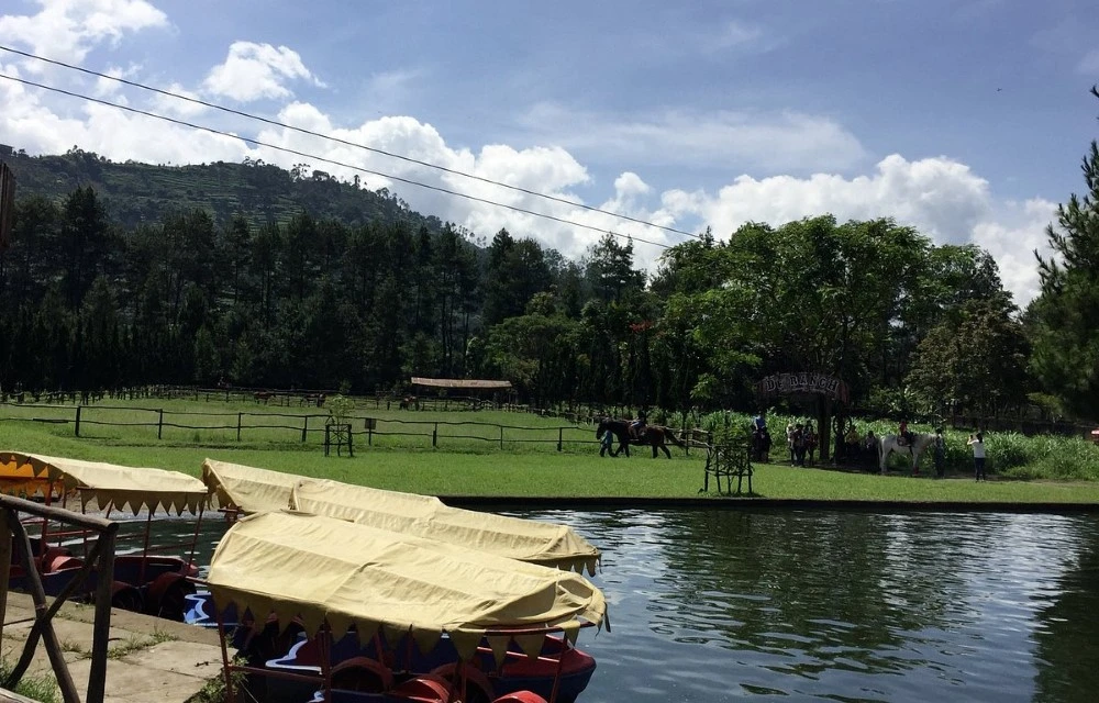 Attractions Image